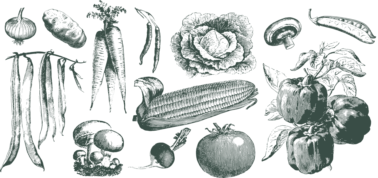 https://staging.lachapelle.me/wp-content/uploads/2023/01/desktop_legumes-min.png