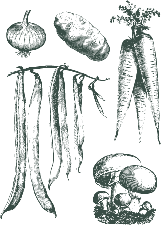 https://staging.lachapelle.me/wp-content/uploads/2023/01/mobile_legumes_1-min.png