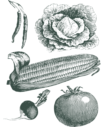 https://staging.lachapelle.me/wp-content/uploads/2023/01/mobile_legumes_2-min.png
