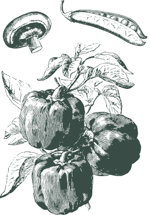 https://staging.lachapelle.me/wp-content/uploads/2023/01/mobile_legumes_3-min.png